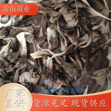 灰树花价格与营养健康价值全解析